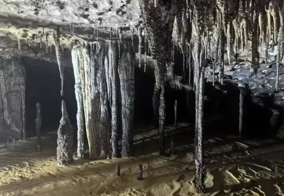 贵州溶洞发现地下反向森林 贵州溶洞“地下森林”生态系统有什么特别之处