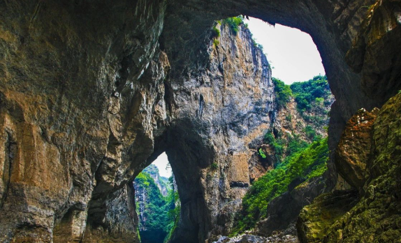 贵州溶洞发现地下反向森林 贵州溶洞“地下森林”生态系统有什么特别之处