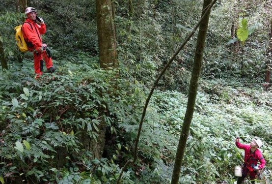 贵州溶洞发现地下反向森林 贵州溶洞“地下森林”生态系统有什么特别之处