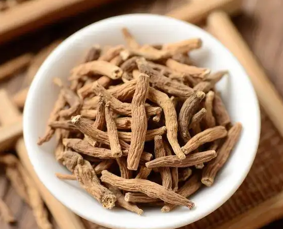 远志泡水喝的功效明显吗 远志不能和哪些药材一起使用