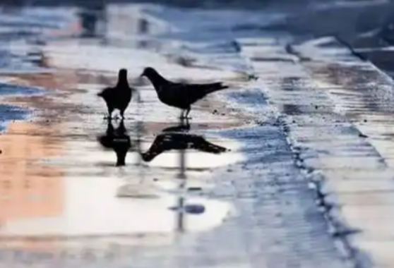 未来三天南方多地阴雨天气持续 25日前后北方多地气温升高到20度左右