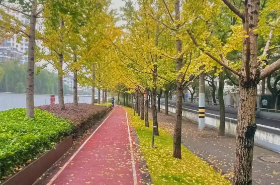 未来三天南方多地阴雨天气持续 25日前后北方多地气温升高到20度左右