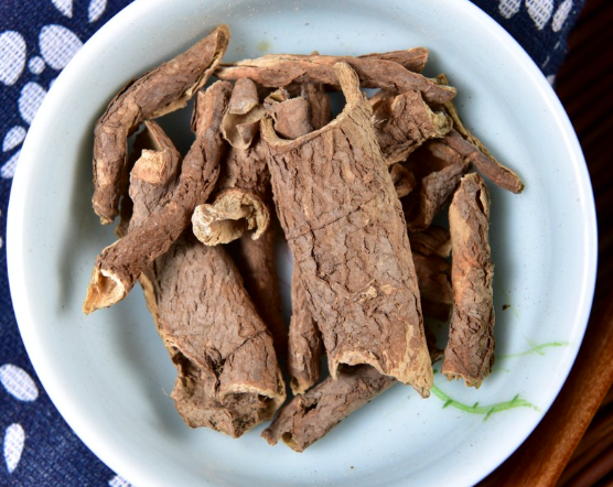 五加皮的功效与作用有哪些 小孩可以服用含有五加皮成分的中药吗