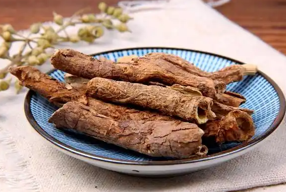 五加皮的功效与作用有哪些 小孩可以服用含有五加皮成分的中药吗