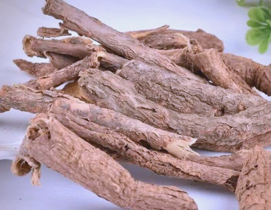 五加皮的功效与作用有哪些 小孩可以服用含有五加皮成分的中药吗