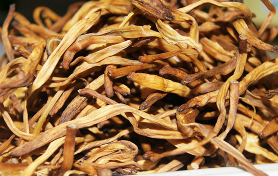 萱草的功效与作用有哪些 萱草与那些药材一起使用效果更好