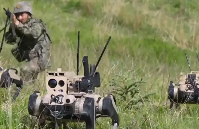 中国机器狼群巷战画面首次公开，中国机器狼群有啥亮点?