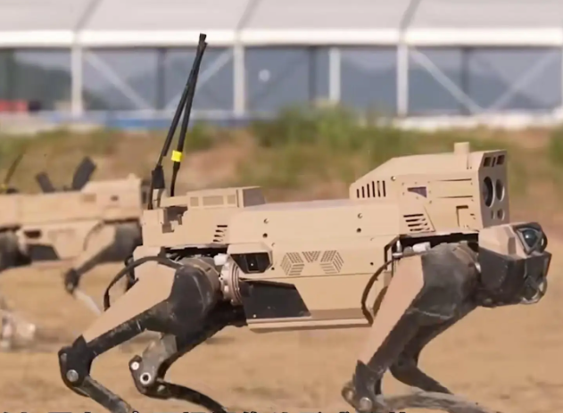 中国机器狼群巷战画面首次公开，中国机器狼群有啥亮点?