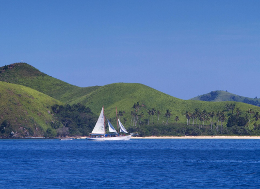 太平洋发现二十四种新物种 太平洋克拉里昂-克利珀顿带一次性发现了24种新物种