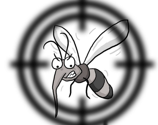 疾控提醒:今年蚊子或迎来史诗级加强 蚊子提前“开工” 有人3月就用蚊帐