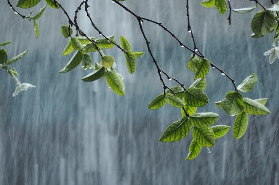 31日华南地区有强对流天气 未来三天青藏高原中东部有雨雪天气 31日华南地区有强对流天气 未来三天青藏高原中东部有雨雪天气