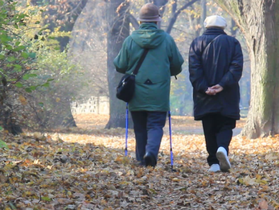 走路和跳广场舞哪个更适合老年人 步行锻炼能提升心肺与平衡能力