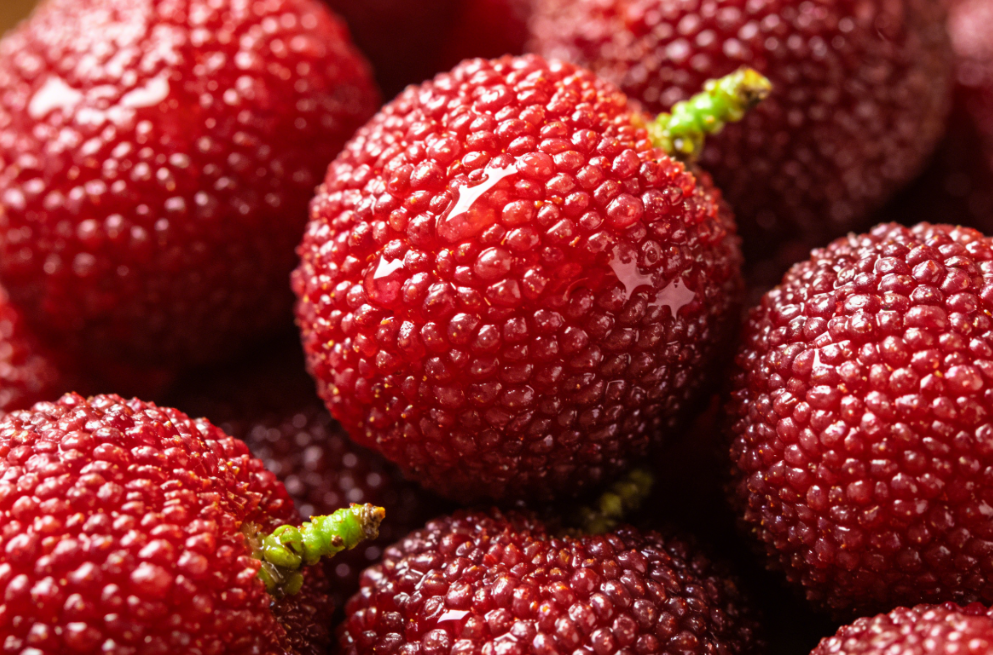 杨梅吃了舌头会变色？2026杨梅季放心吃