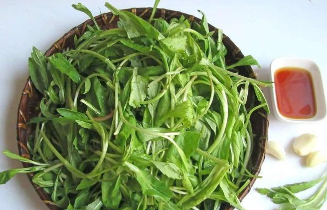 春天的调经野菜,清炒鹅肠菜帮你理顺月经