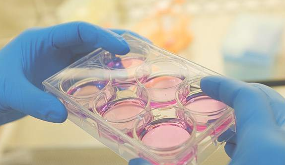 西北首个iPSC细胞存储项目启动 我国西部地区iPSC前沿技术实现产业落地