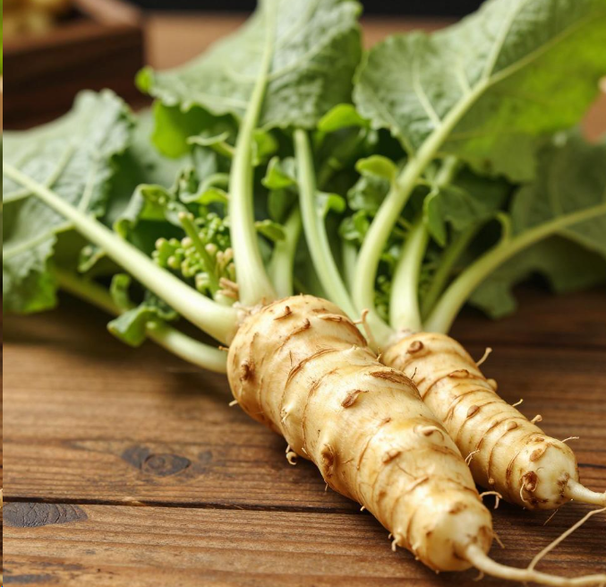 男子山上挖野菜挖到超大地黄 2026春日挖野菜的正确打开方式