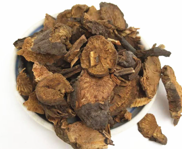 地榆的功效与作用有哪些 地榆和哪些药材一起使用效果更好