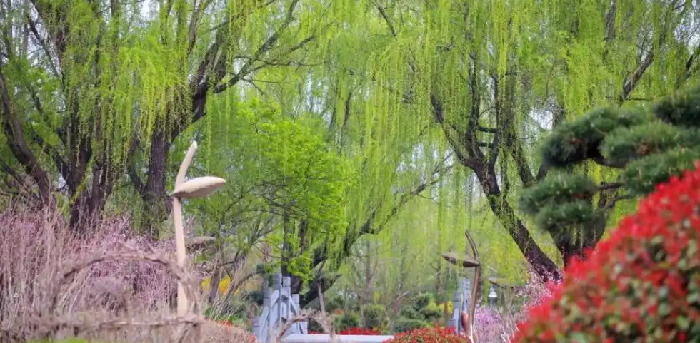交换城市春光，这个春天换个城市去追花