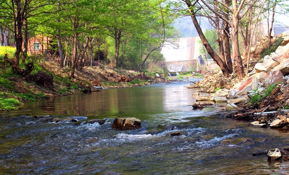 接触10秒即可感染 看到这种螺快报告 本周是全国血吸虫病防治宣传周