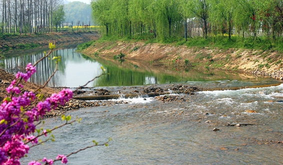 接触10秒即可感染 看到这种螺快报告 本周是全国血吸虫病防治宣传周