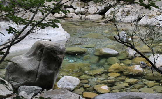 接触10秒即可感染 看到这种螺快报告 本周是全国血吸虫病防治宣传周