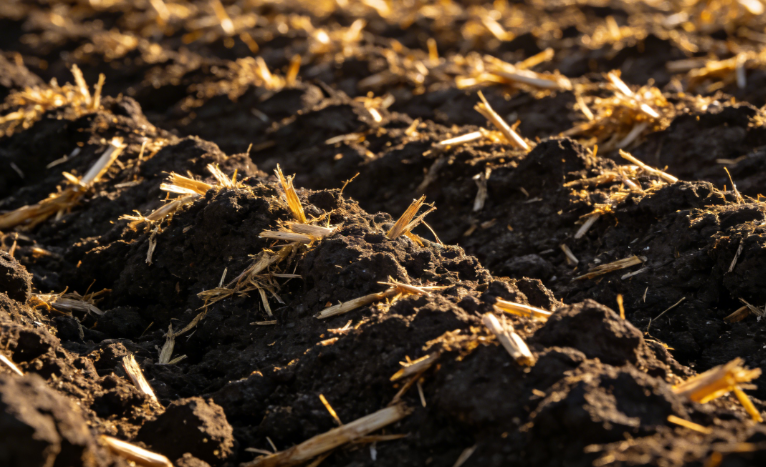 秸秆还田后的东北黑土地软得像发糕，2026黑土地从“板结”变“海绵”