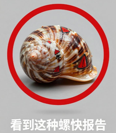 接触10秒即可感染的螺叫啥?看到这种螺快报告