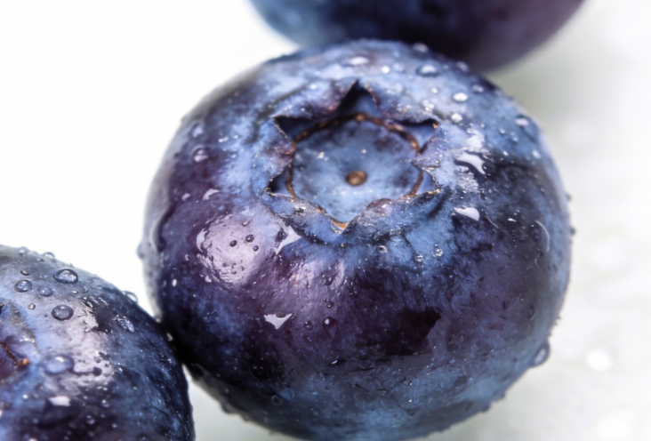 中国蓝莓逆袭，中国蓝莓产量全球第一