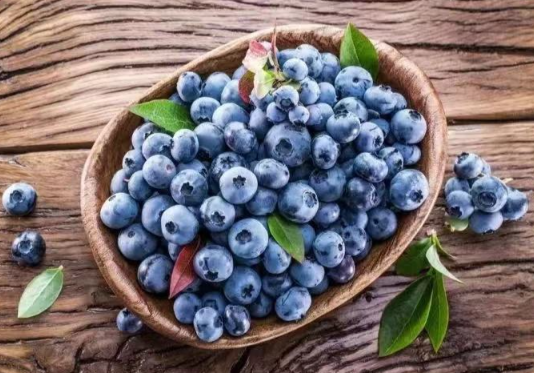 产量全球第一!中国蓝莓是如何逆袭的 蓝莓富含花青素有天然抗炎作用