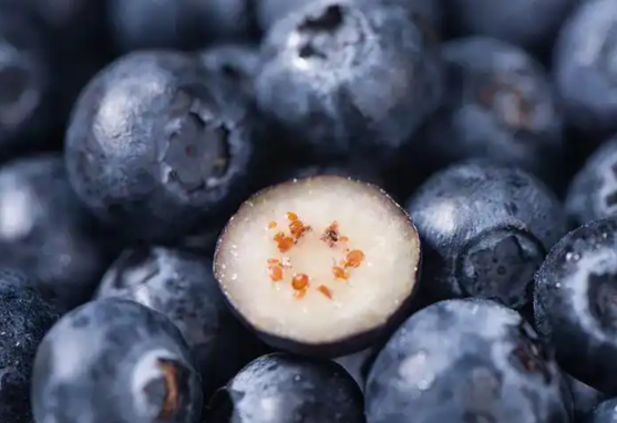 产量全球第一!中国蓝莓是如何逆袭的 蓝莓富含花青素有天然抗炎作用