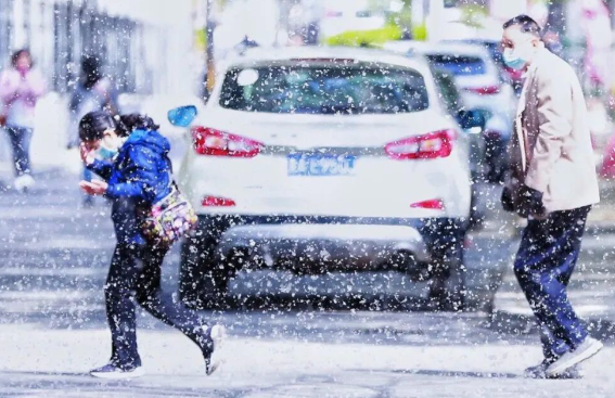 四月全国陆续迎来杨柳絮飞絮期 过敏人士如何做好飞絮季个人防护