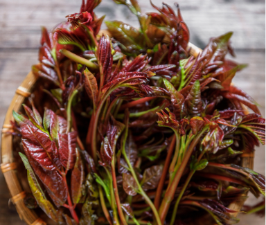 香椿焯水再吃才安全，香椿去亚硝酸盐要焯烫1分钟