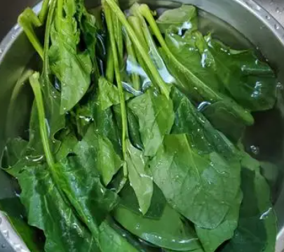 菠菜焯水别偷懒，菠菜焯水1分钟去草酸