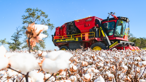 新疆超级棉田已实现75%无人化管理 新疆尉犁县3000亩超级棉田开播