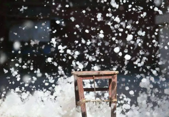 四月全国陆续迎来杨柳絮飞絮期 过敏人士如何做好飞絮季个人防护