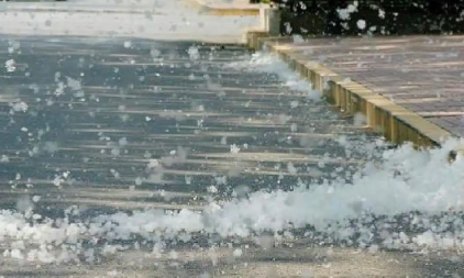 春季柳絮终于被拿捏了，2026北京春季柳絮治理出组合拳