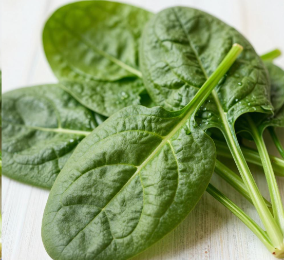 年纪大吃菠菜豆腐会拉肚子吗？2026年纪大脾胃虚弱吃什么好消化？