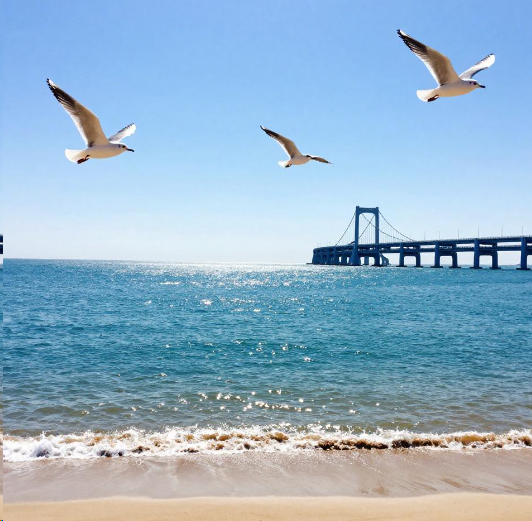 2026辽宁省考面试前资格审查名单公布 辽宁省考面试资格怎么查？