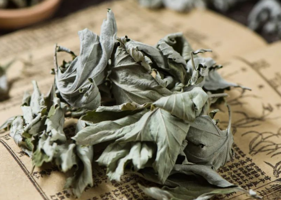 艾叶水洗澡对人体有什么好处 艾叶水对皮肤有什么功效 艾叶水洗澡对人体有什么好处 艾叶水对皮肤有什么功效