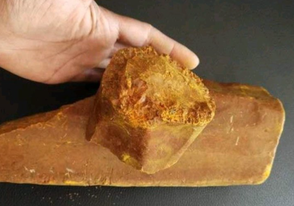 藤黄的功效与作用有哪些 藤黄与哪些药材一起使用效果更好