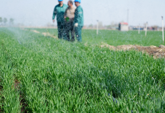 全国春灌面积已达1.9亿亩 南方持续阴雨天气不利于农作物产量形成