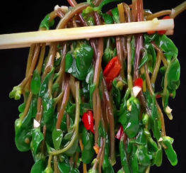 马齿苋凉拌抗菌是真是假？2026马齿苋凉拌抗菌有科学依据