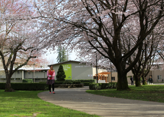 利兹三一大学经济学本科留学生录取标准2026 利兹三一大学金融系热门留学专业推荐2026
