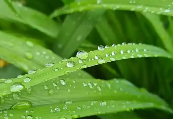 未来三天南方主雨带将维持在江南地区 全国4月气温偏高降水偏多