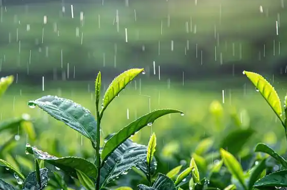 未来三天南方主雨带将维持在江南地区 全国4月气温偏高降水偏多
