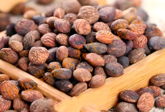 蕤仁的功效与作用有哪些 蕤仁不能和哪些中药一起使用