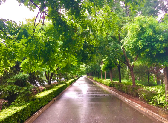 15日起江南地区降雨天气将有所增强 未来三天阿勒泰北部局地有大到暴雪