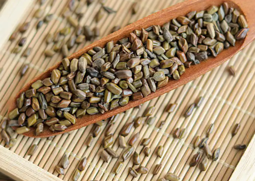 草决明的功效与作用有哪些 草决明与什么药材一起使用效果更好