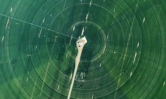 壮观!塔克拉玛干沙漠现巨型麦圈 塔克拉玛干沙漠南缘8000亩冬小麦进入拔节期