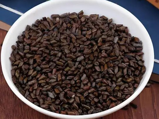 草决明的功效与作用有哪些 草决明与什么药材一起使用效果更好